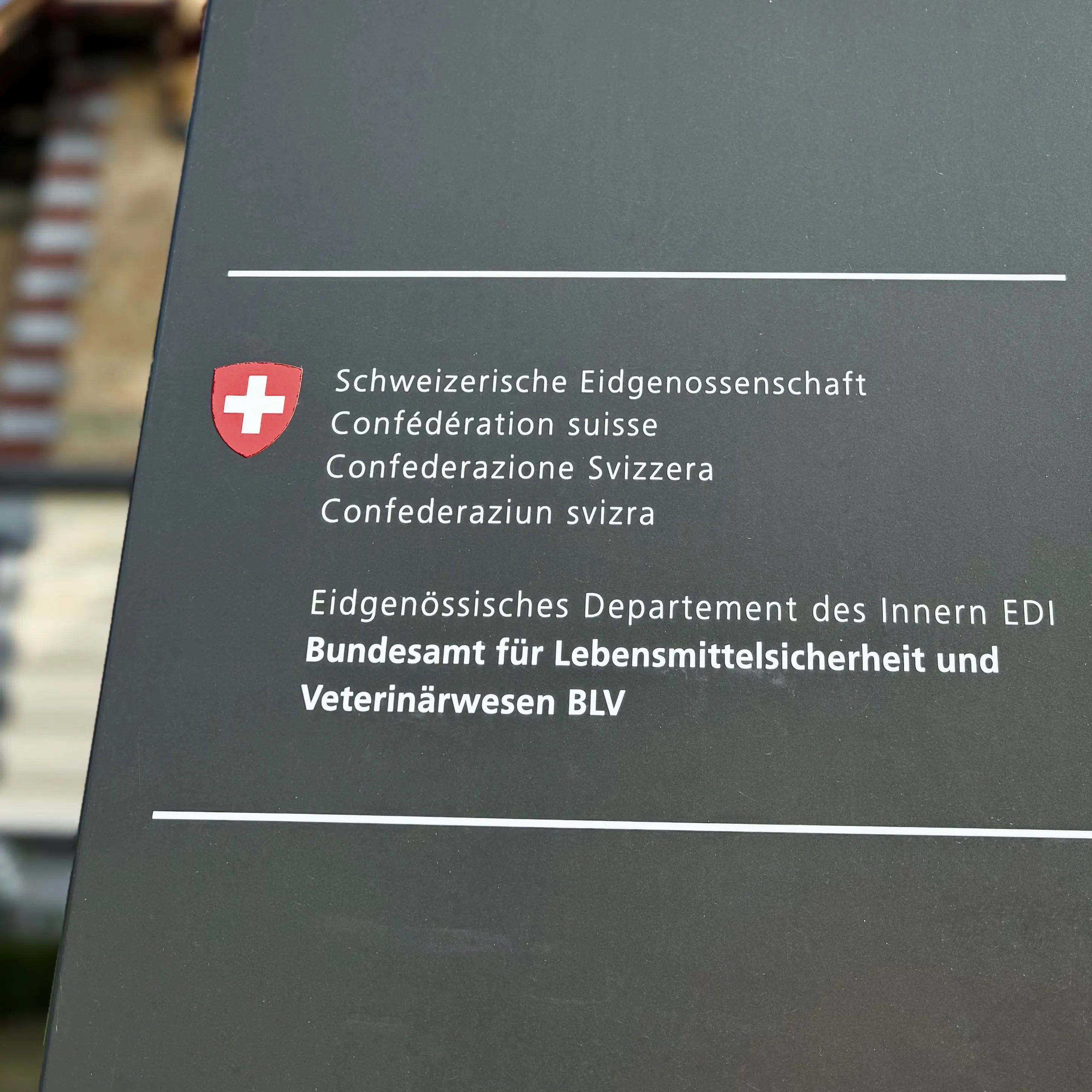 Webanwendung, Suchmaschine